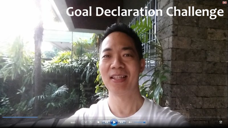 SWA Ultimate Goal Declaration Challenge